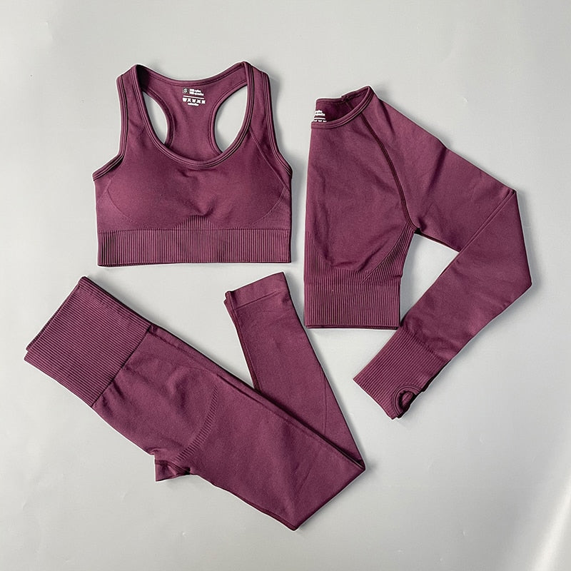 Berry Yoga Workout Seamless Zip Through Gym Set – The Malika