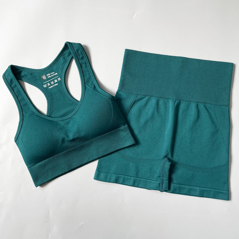 2/3/4PCS Seamless Women Yoga Set Workout Sportswear Gym Clothes – MyMIYAKA