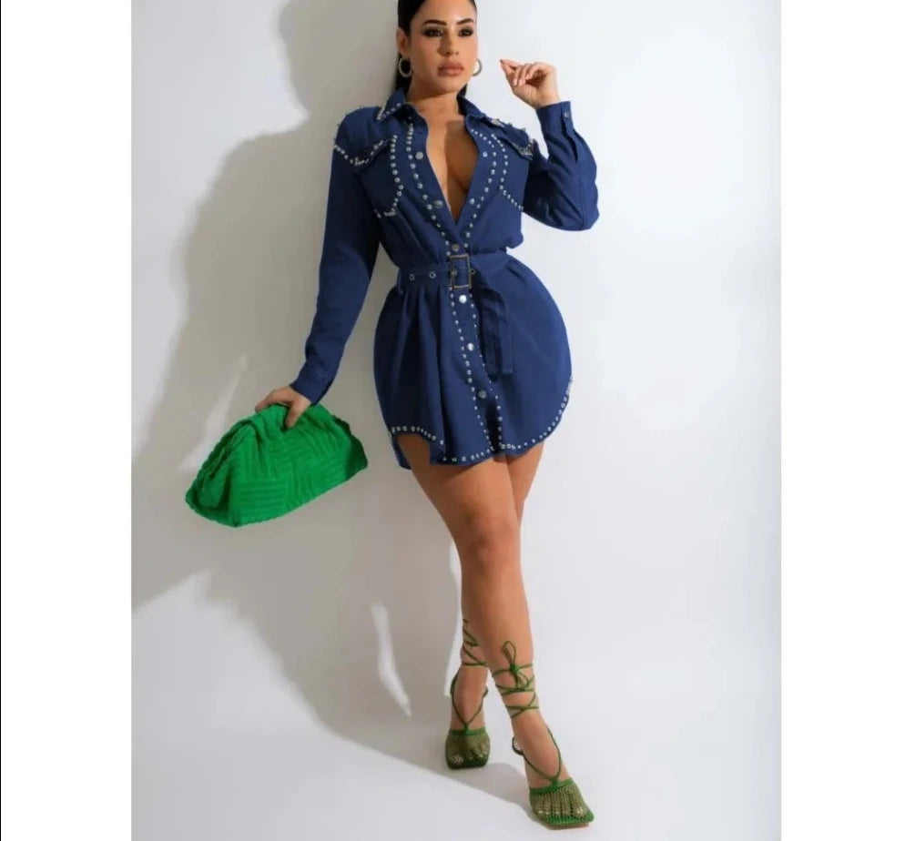 Turndown Collar Button Long Sleeve Mini Dress