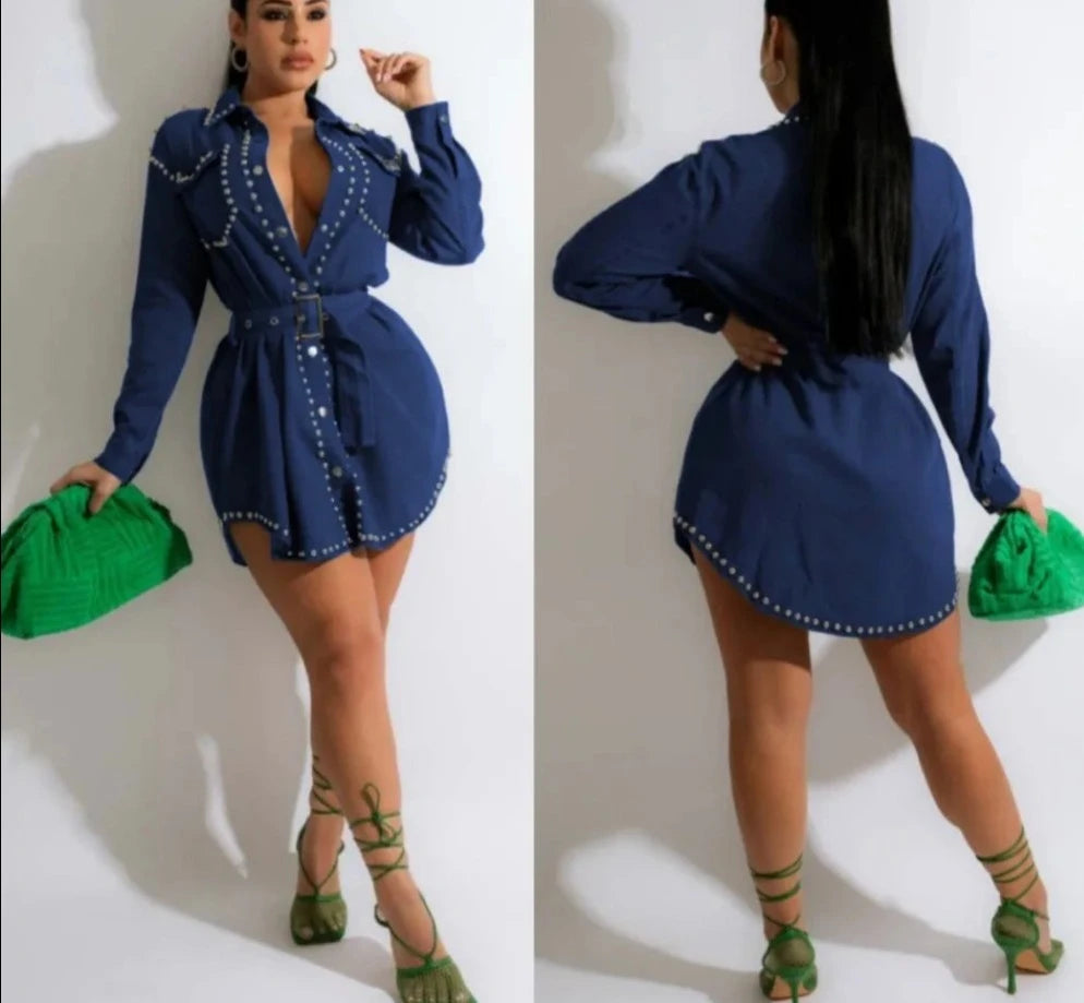 Turndown Collar Button Long Sleeve Mini Dress