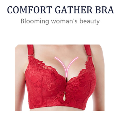 Sexy Comfort Push Up Lace Bras for Women